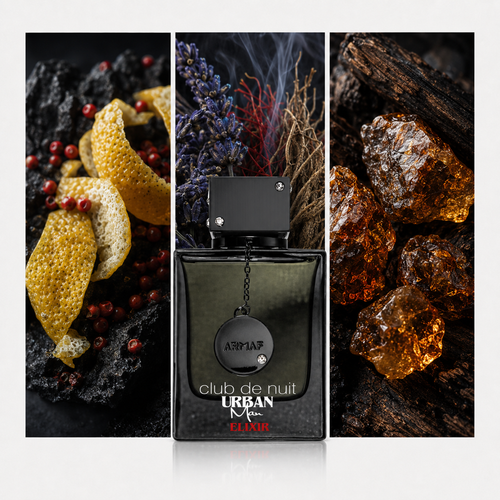 Armaf Club de Nuit Urban Man Elixir: composición visual de sus acordes principales
