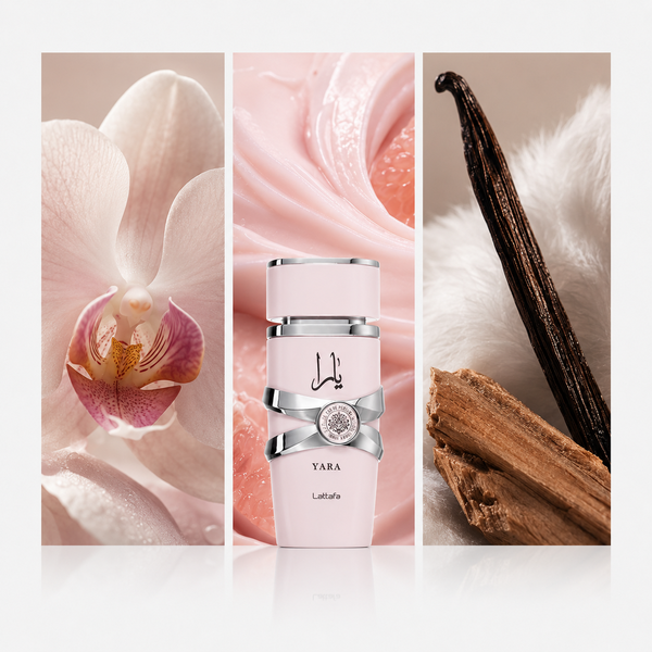 Lattafa Yara: composición visual de sus acordes principales