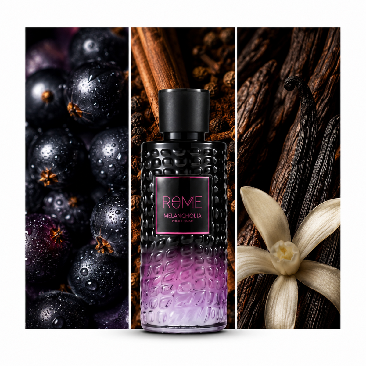 Mast Perfume Rome Melancholia Pour Homme: composición visual de sus acordes principales