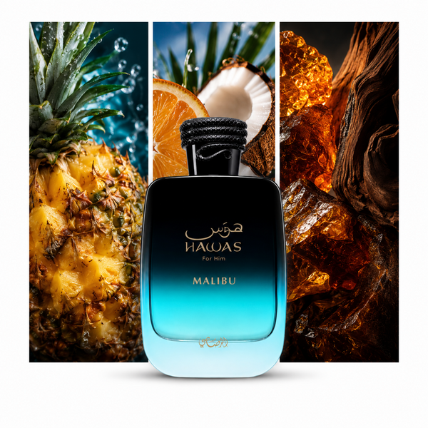 Rasasi Hawas Malibu: composición visual de sus acordes principales