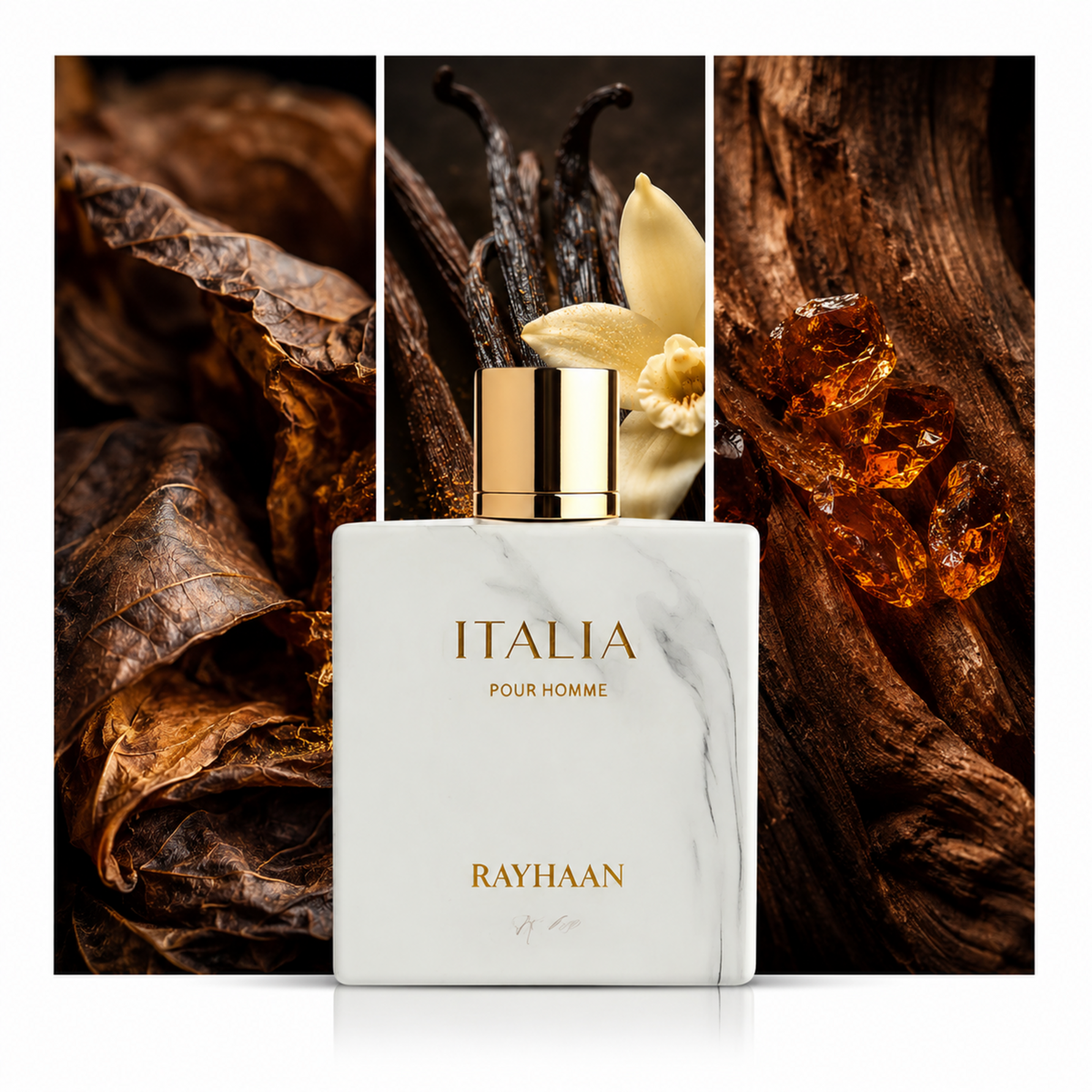 Rayhaan Italia: composición visual de sus acordes principales