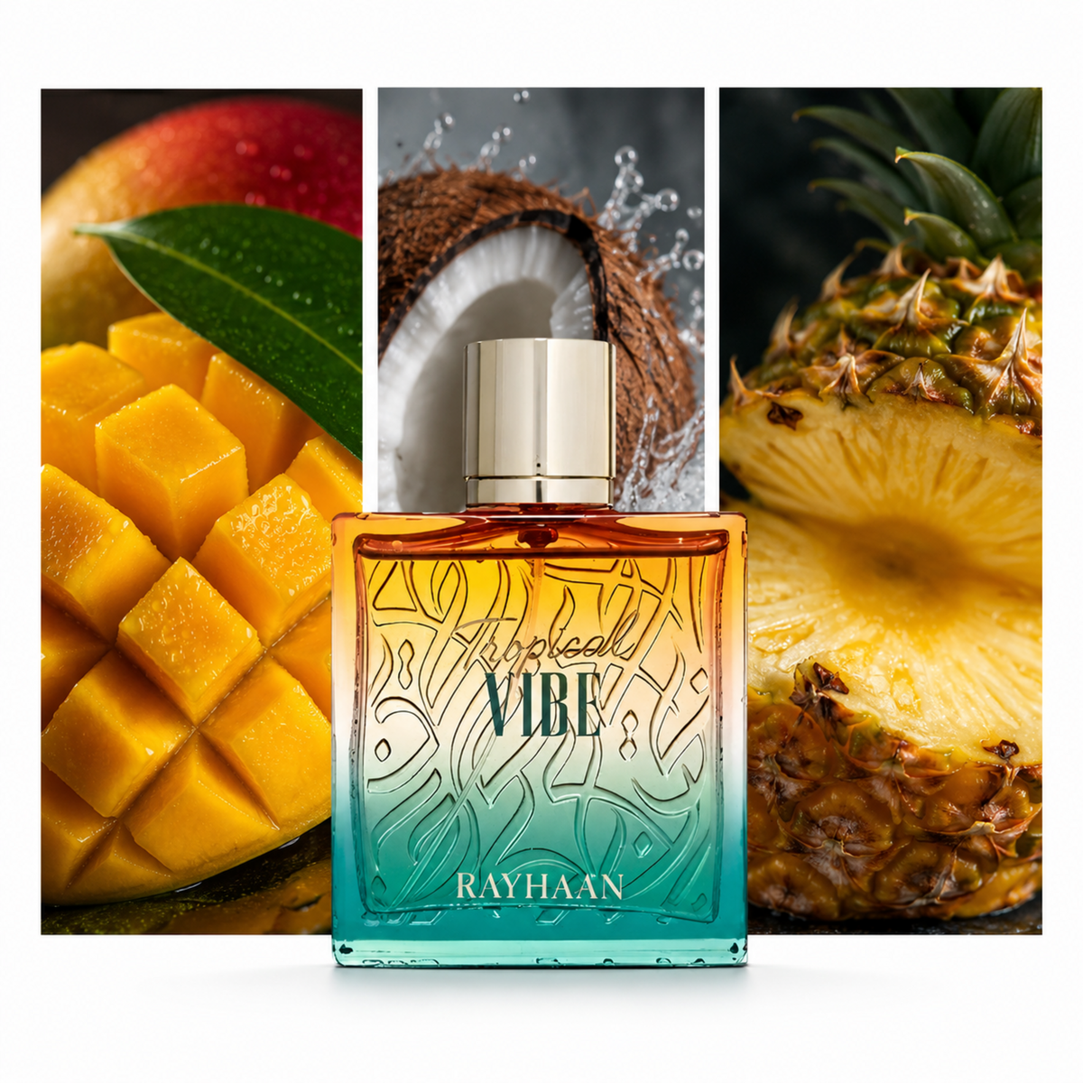 Rayhaan Tropical Vibe: composición visual de sus acordes principales