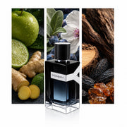 Yves Saint Laurent Y Eau de Parfum — composición editorial fotográfica DYNASTY