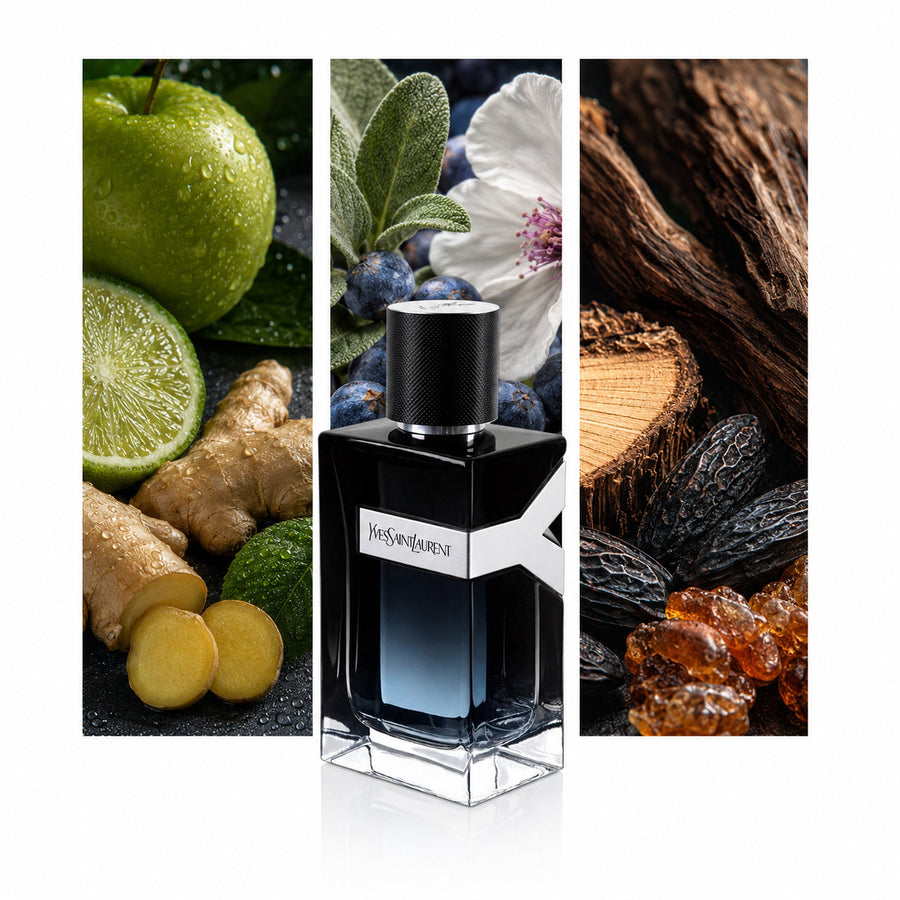 Yves Saint Laurent Y Eau de Parfum — composición editorial fotográfica DYNASTY